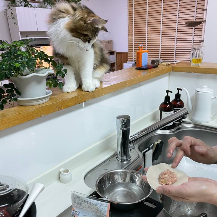 4bdc4ccf 61cc 4abd 8087 652559fa08c5 1637657358641