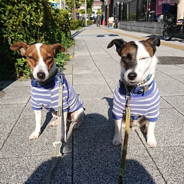 4bdc79f8 6f9a 4782 83d1 2d9ccf697d91 1605055450616