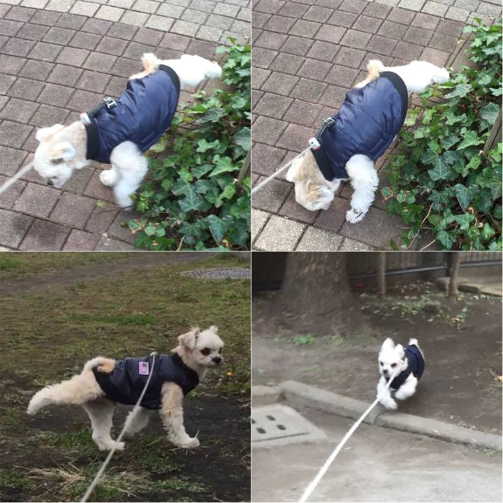 4bdccd36 79f3 4869 81f9 2f4d2b8067b3 1545812698483