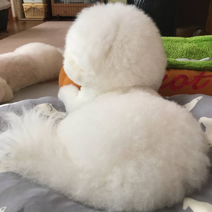 4bdcf110 e825 47e3 ade5 5bfeac4e4d42 1594447646332