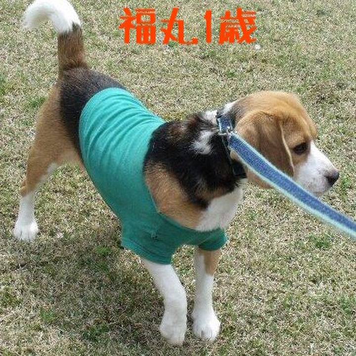 4bdd4129 5c96 4ee7 a693 e9e681e450ad 1509519584565