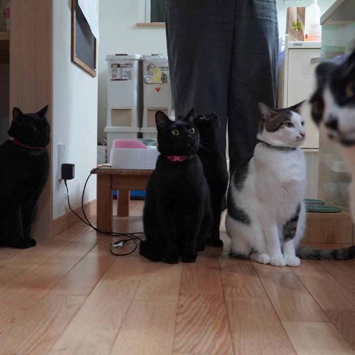 4bdd8bb3 406b 48f1 8a0f 22d2b1f9715f 1610097897943