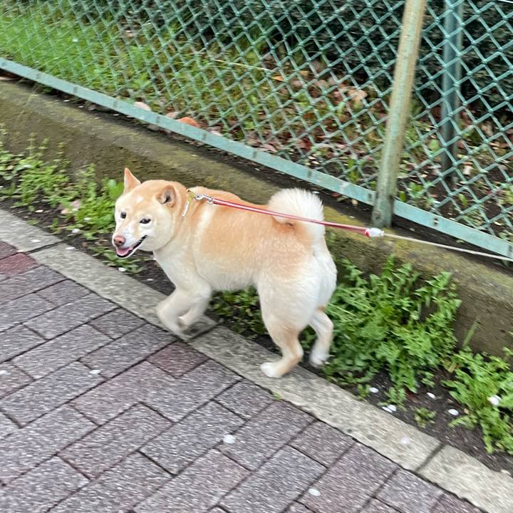 4bddfb03 f30f 4317 a6e5 b8ad01583531 1679870888458