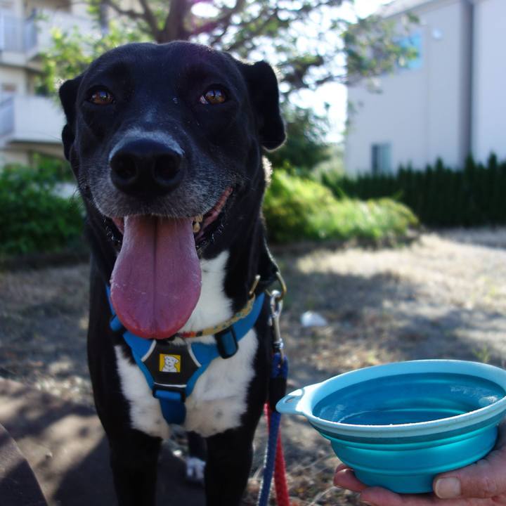 4bde5064 0683 4c9a a963 d3b55f7d0bb9 1632876450157