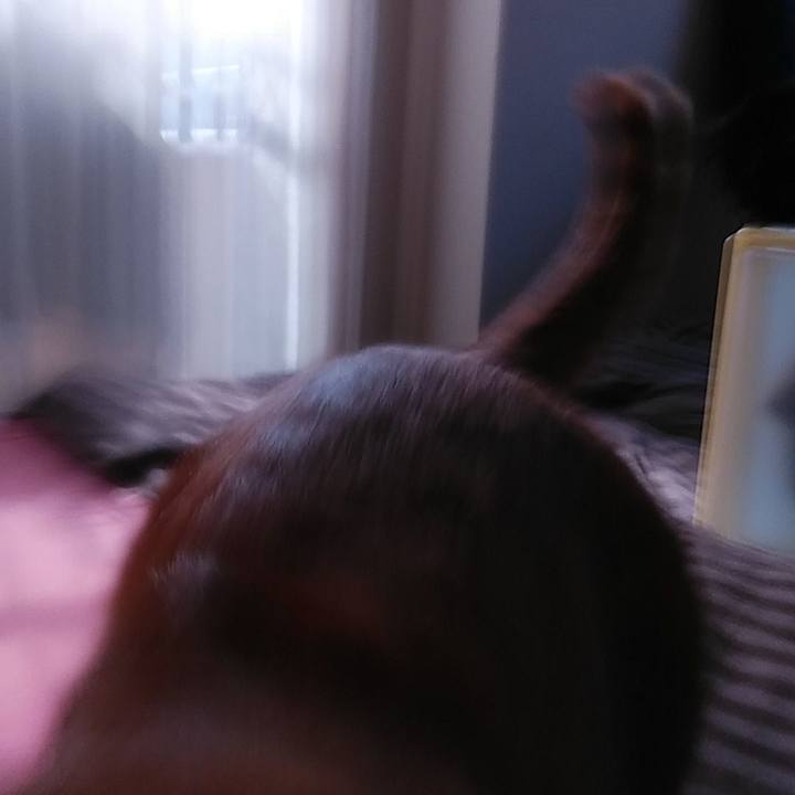 4bde5309 8692 4589 badb 8e7dc791c20b 1590735129384