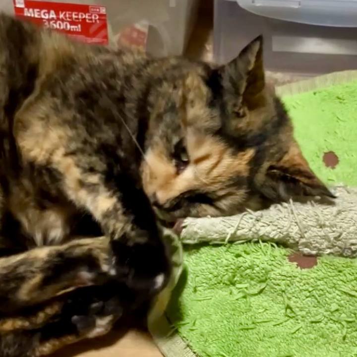 4bde93bd 27bd 4fd7 9b49 06f98bacac47 1741814032673