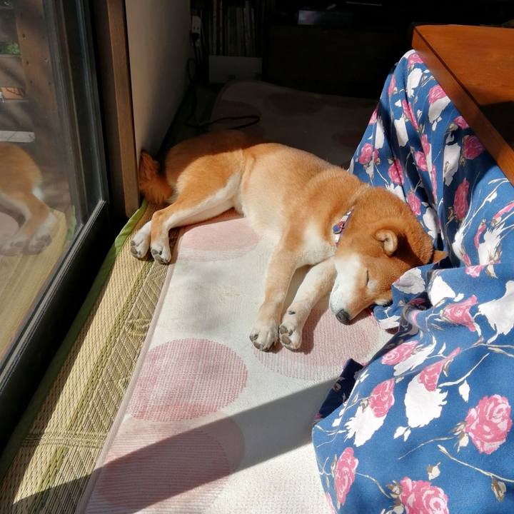 4bdea8fd 288b 4ef7 ad30 114bdfe03881 1646529885209