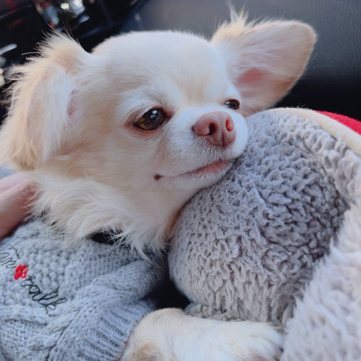 4bdeac02 51f6 4e45 8c5d 03147dffcaca 1764245497614