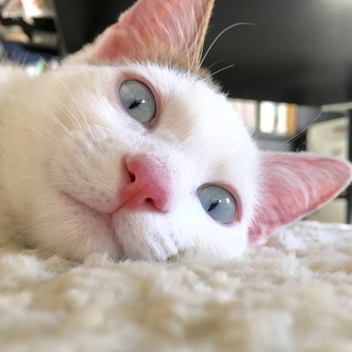 4bdec285 eced 42db 8b81 23c964bb84bf 1769396392987