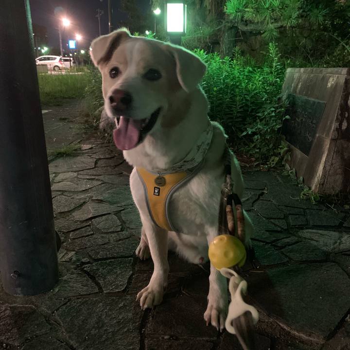 4bdf2372 fb1b 40ce b09a 20850233fabe 1568975212901