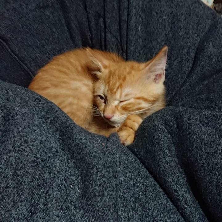 4bdf3f98 b225 42ab 94c0 803adbf59bf7 1629290000230