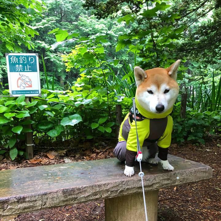 4bdf6e02 be14 4618 8fd9 32ee016a82ad 1593651547197