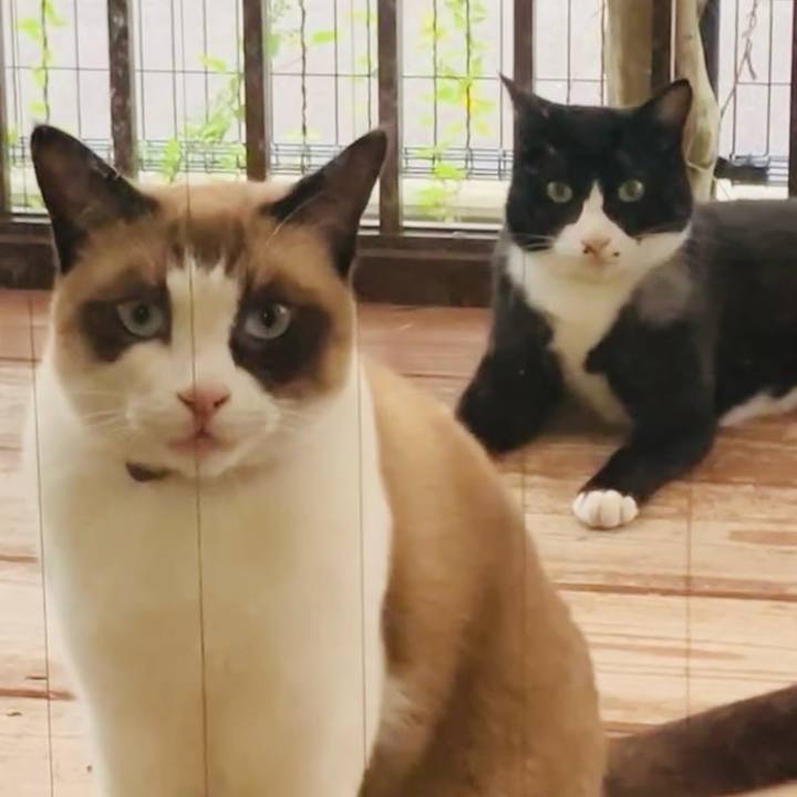 4bdf736b 8ffc 4265 a672 9f15c886b1ad 1728898370346