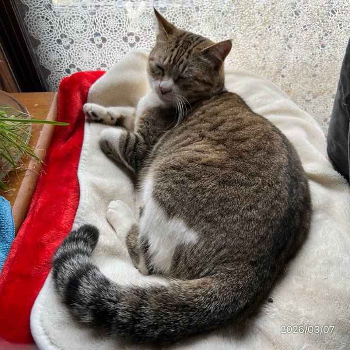 4bdf7652 f70c 455b 94e5 392791cd983d 1772853768079