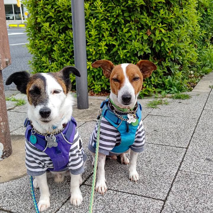 4bdf9c5b cc72 45f3 8d56 962ddb90018c 1654994250630