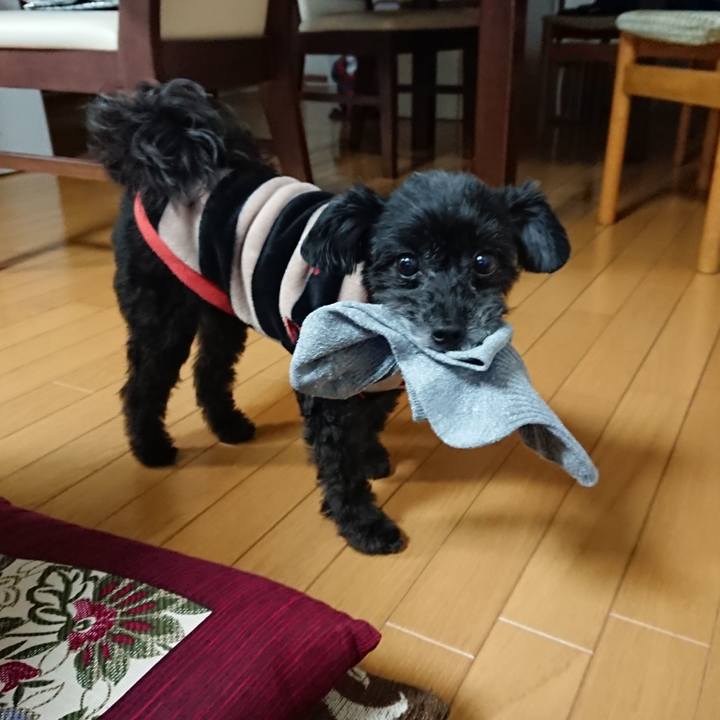 4bdfc994 1df0 46ee 9507 e7aa7f1b37f6 1585386679089