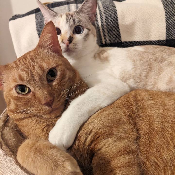 4bdfe771 d368 4aaa 95d2 0adc246c1bbf 1705927314251