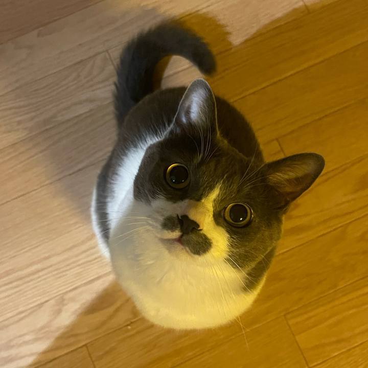 4bdfed4a 1f6a 473d 864b a918c9a04e15 1751650723766