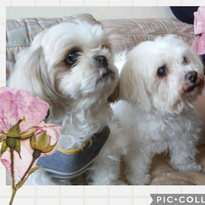 4bdff8de cff7 45e5 83cf 0f47b639101a 1662544332915