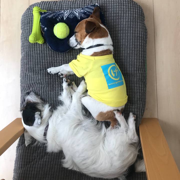 4bdffd2c 51cf 4bc6 b77c 2d8559d31e5c 1524541226127