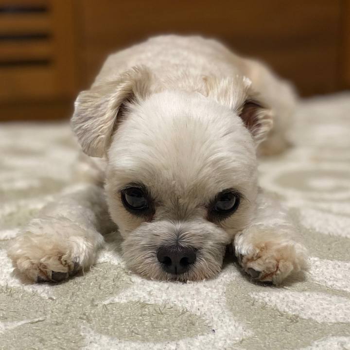 4be01eca bb7e 4080 a098 48548c935976 1578391614054