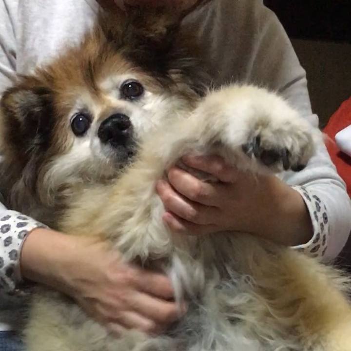 4be05c8c c300 4962 a1d6 20efba149b7b 1583997759827