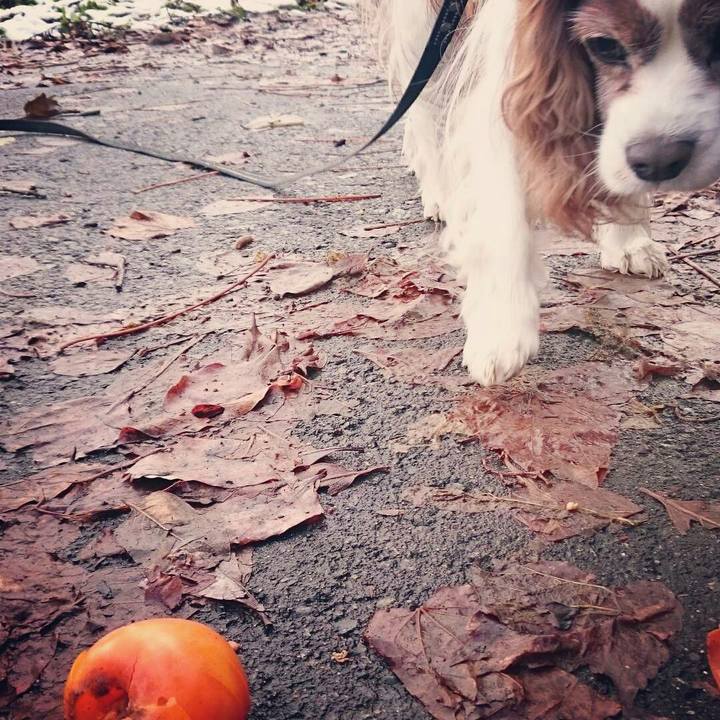 4be1016e 047d 4a96 bac9 84a59585c071 1512528905063