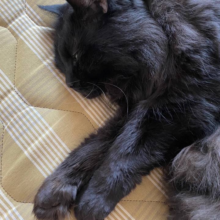 4be189d9 aae0 4a2a ae22 c2a64faf577a 1576559342374