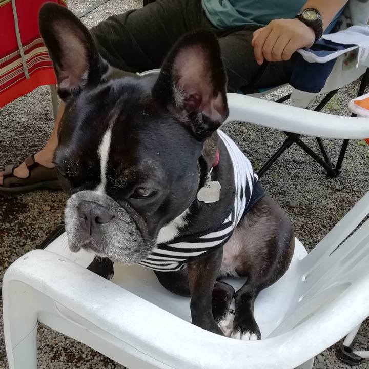 4be1ae4d e5f3 49dc a7bd 0e8c7c105b1a 1563843842186