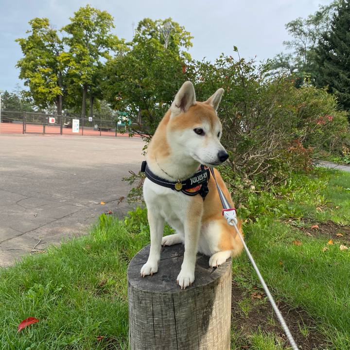 4be1afce dc78 42db ab2b 10ad406700ad 1600837507540