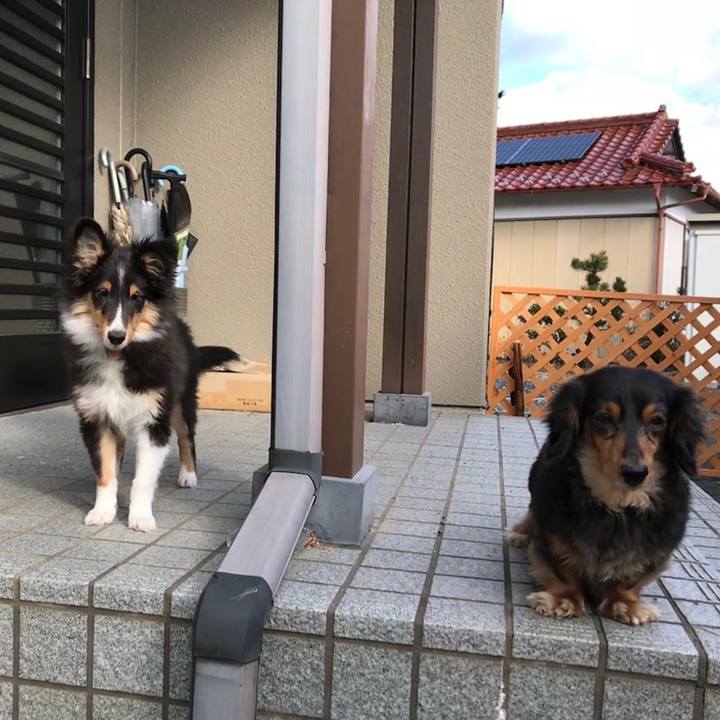 4be1beeb 818f 4d9a b35b a4faaace1d70 1558612762349