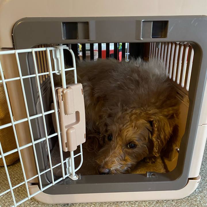 4be1d76c aa2f 49e1 b89e 3ba83af71f07 1643323777086