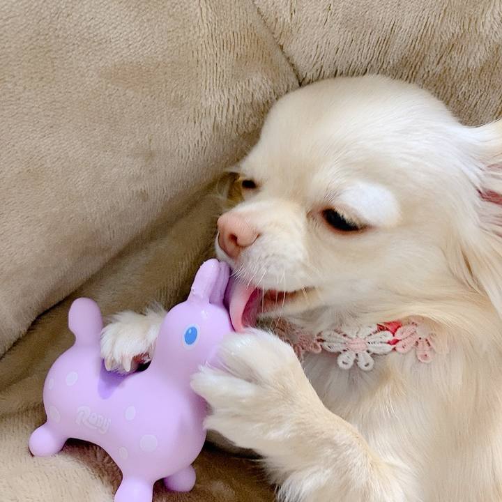 4be1ee08 4d66 4137 bfcc 05bfff50d0c6 1615088762434