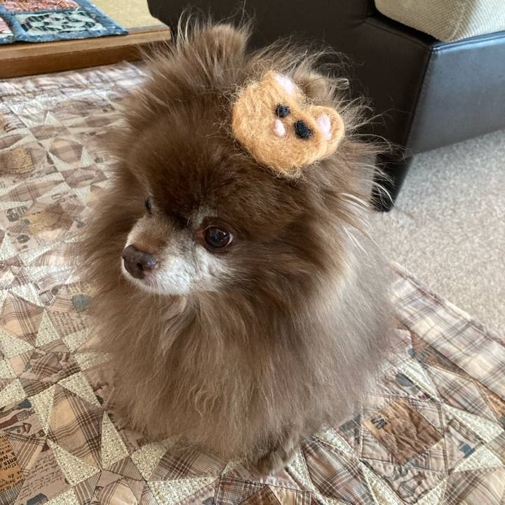 4be20dbb 0ab5 4d24 97af 137699270d9c 1709855096905