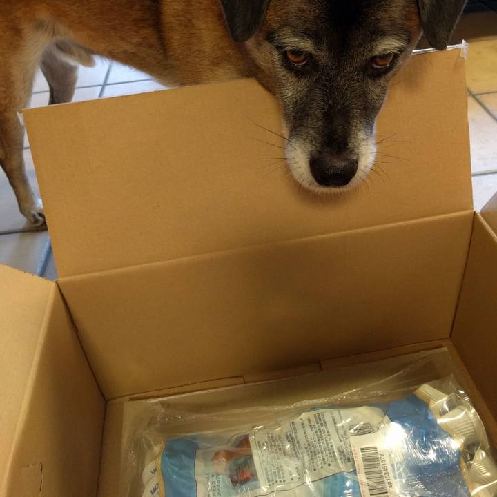 4be26546 9ddf 49c5 b3f0 a756aa3d8a97 1691628883068