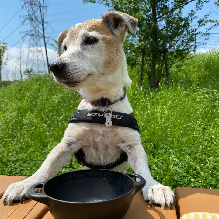 4be27f20 4beb 4e57 a257 34d80d8909e1 1621750657316