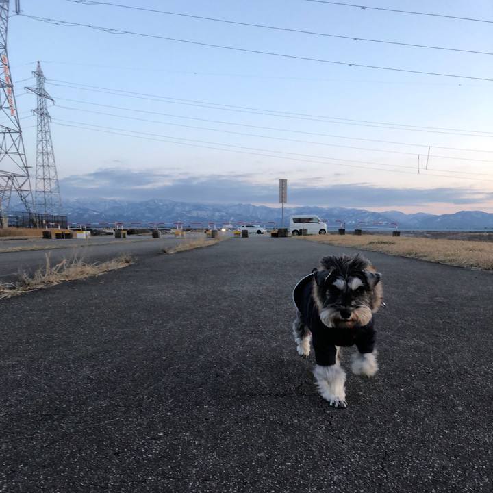 4be2865b 3265 4ade aa8c 1feb18d61d3a 1614431621627