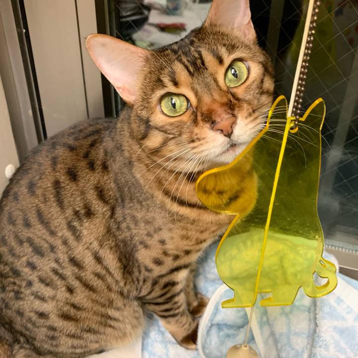 4be2a9de d465 45d8 bf9f f7194e8b4c1c 1630295607588