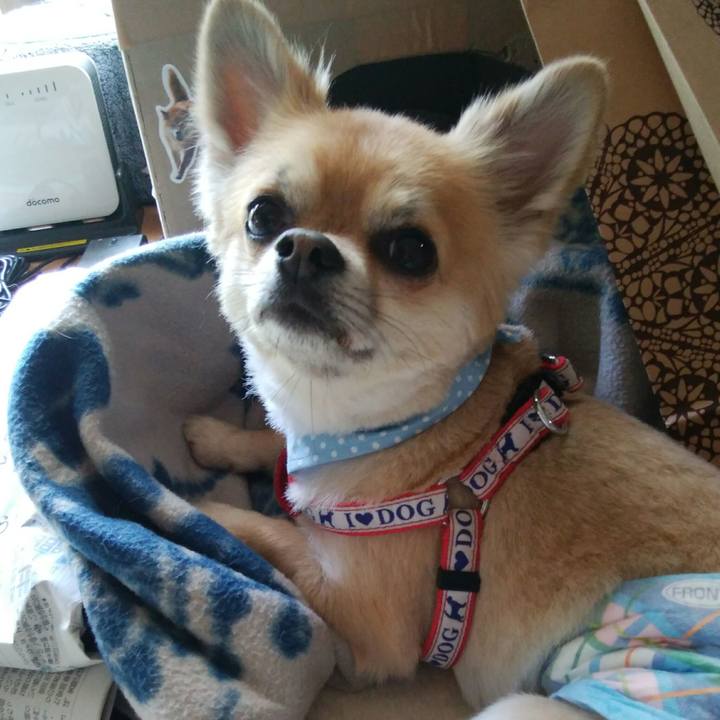 4be2ad8b 6381 4029 af8d 14c84a16f2e8 1526723597893