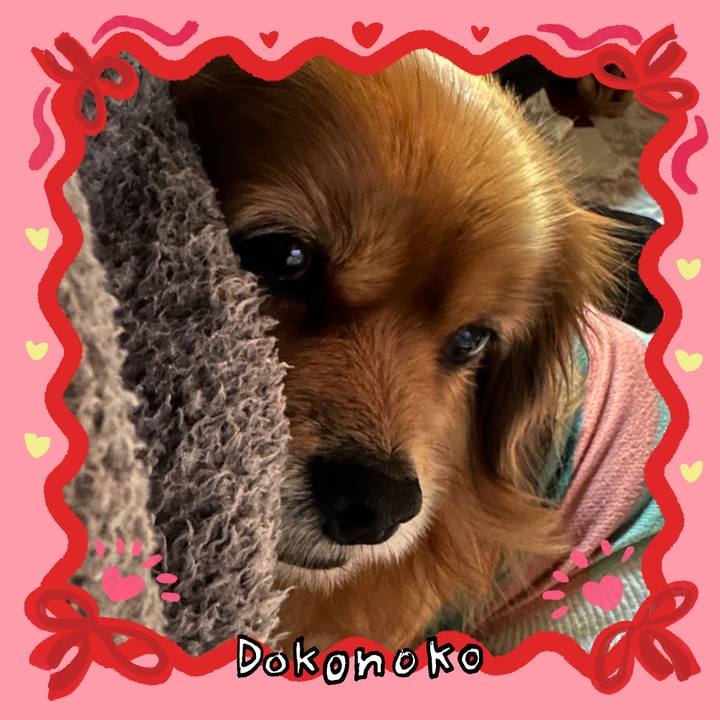 4be2b744 8e90 44a5 b467 125caca59667 1707255469066