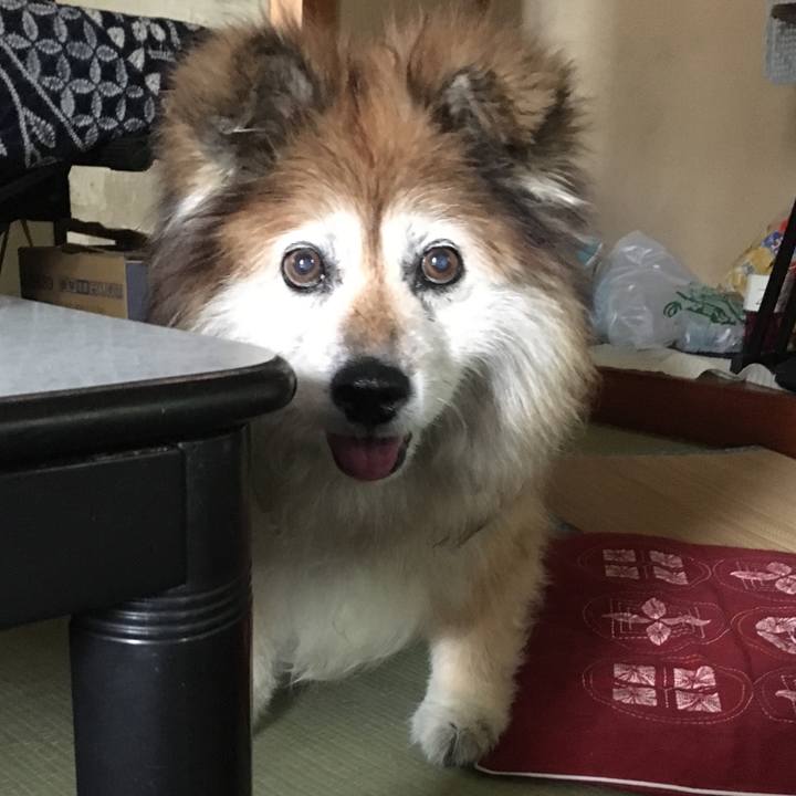 4be2fa13 ee75 4470 a7f0 6c386fc6fd91 1548315571887