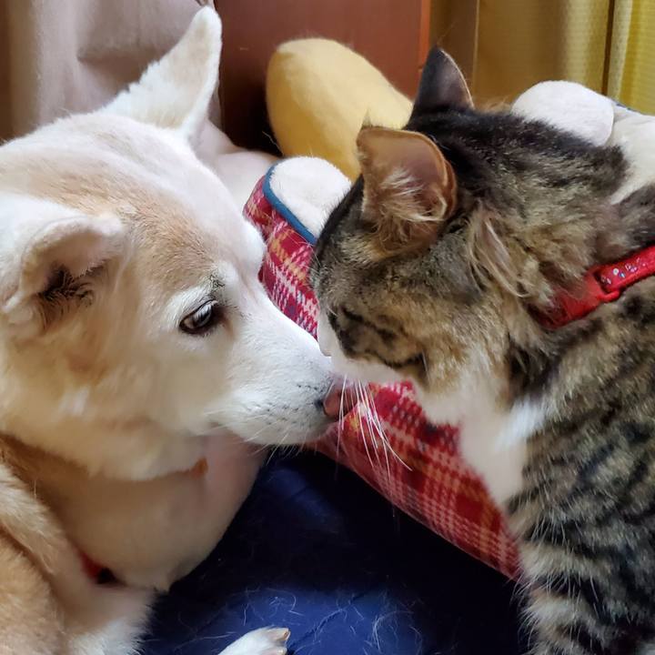 4be3244c ce94 4b49 a3af b23155d42d5c 1658012718467