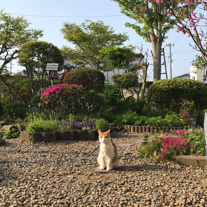 4be32ec1 aed2 4e5e b34b d934b593a716 1525131384387