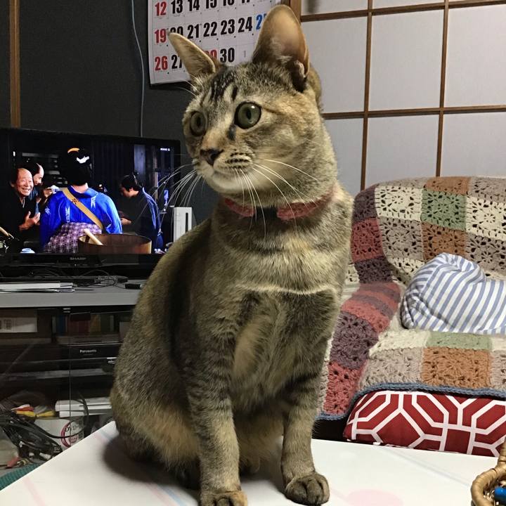 4be34884 8cee 4afe 9494 ac9ce0c315fe 1586600155583