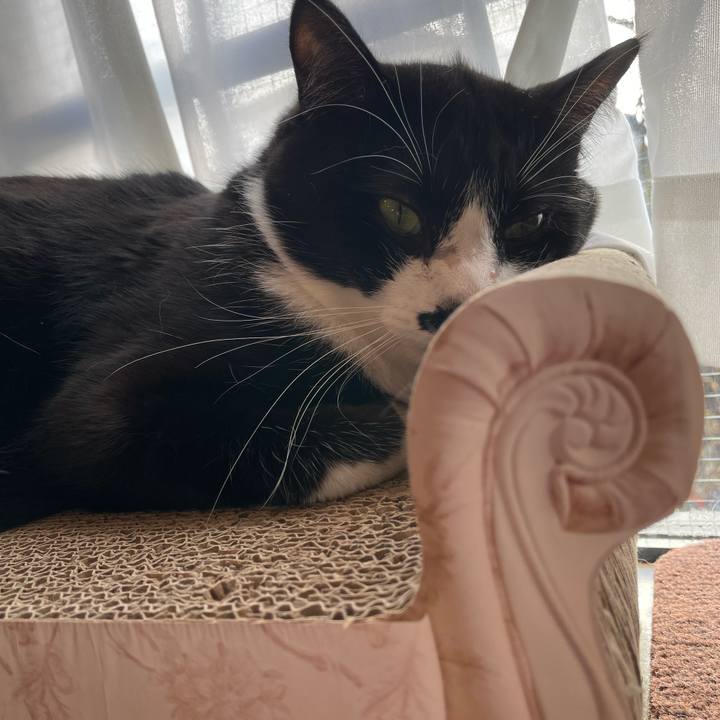 4be35683 ebac 4f1c 903d f05d6e8ff749 1673913591898