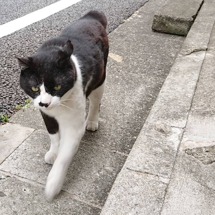 4be370e2 45eb 4584 bde5 633ace86de20 1621152411790