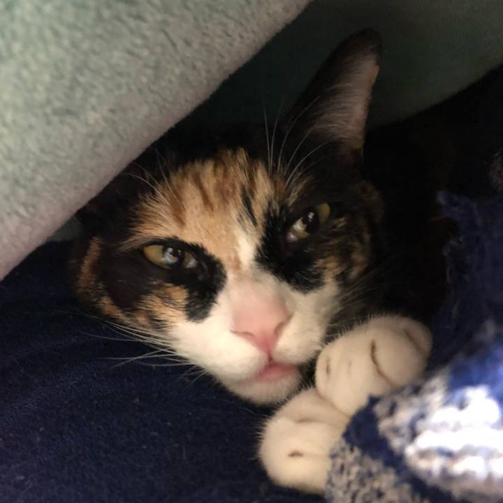 4be3ddc7 ddc7 4946 b33a 0ce388346bdc 1582376436430