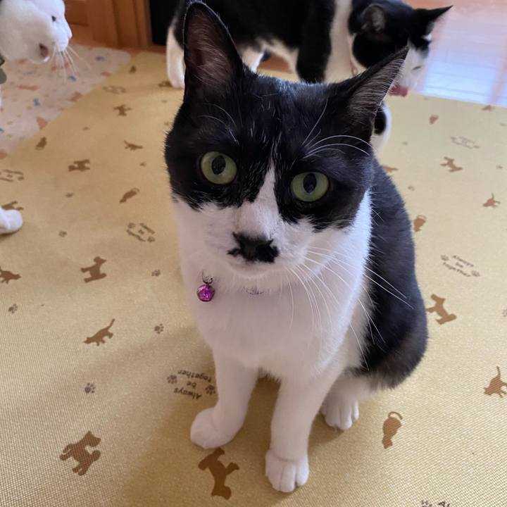 4be40f38 4a4d 4a81 b618 e2dcea06ea52 1627028623856