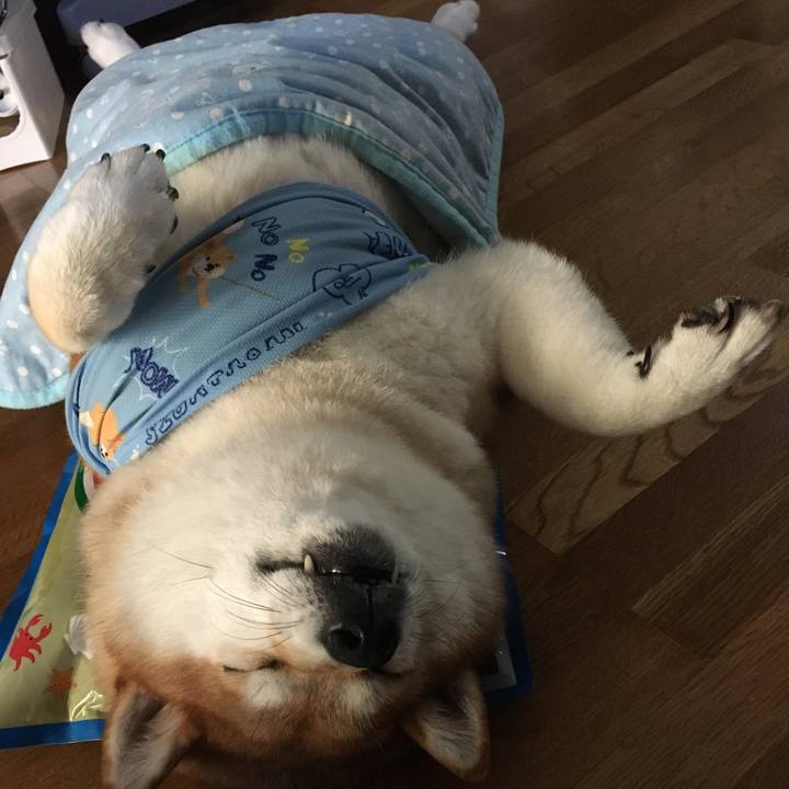 4be41270 0411 4767 b9cb e6e0a6cfa93a 1597197115475