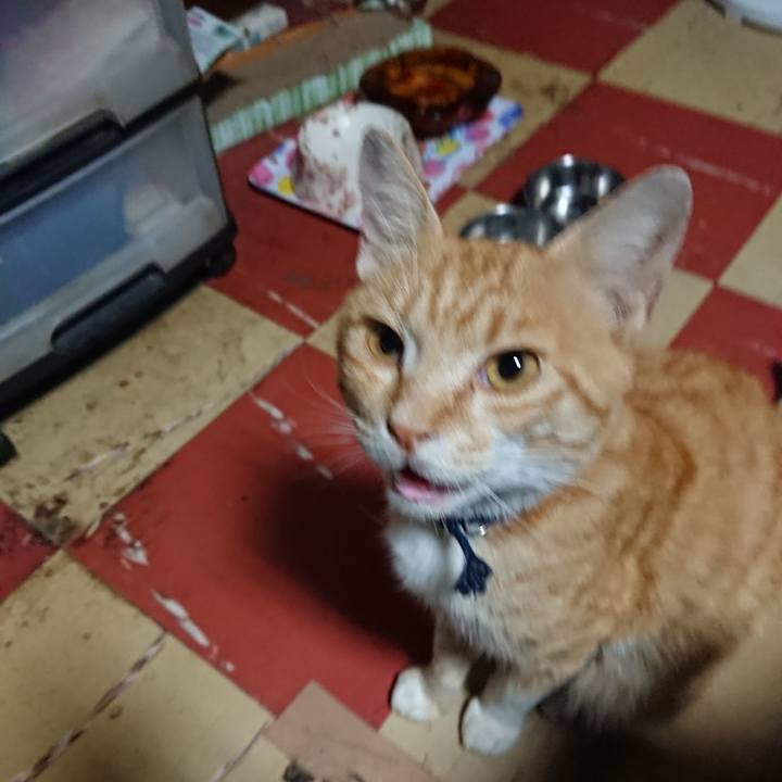 4be41f32 004d 403a 8bf9 7a8ed85bfe3f 1561839112345